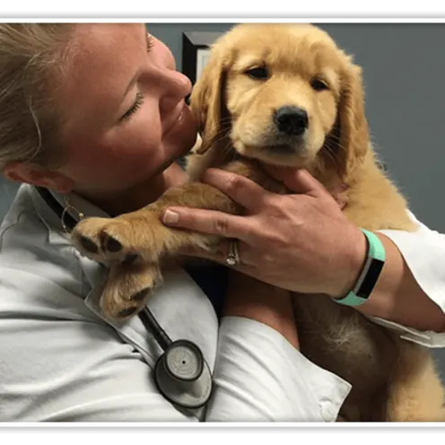 Staff holding puppy at Forest Hill Animal Hospital
